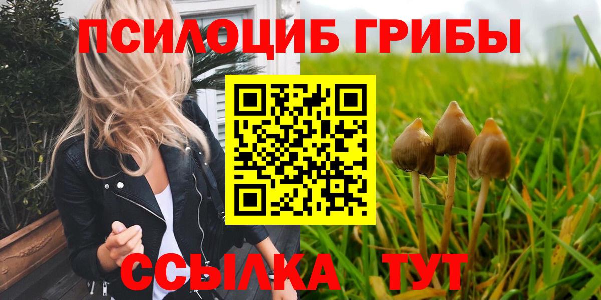 Луховицы  Галлюциногенные грибы GOLDEN TEACHER  даркнет сайт  Вход с VPN  Псилоцибиновые грибы прущие грибы 
