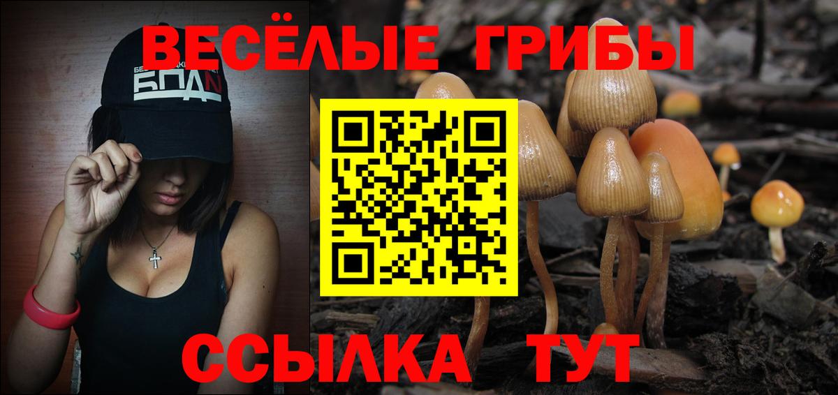 NBOMe Луховицы