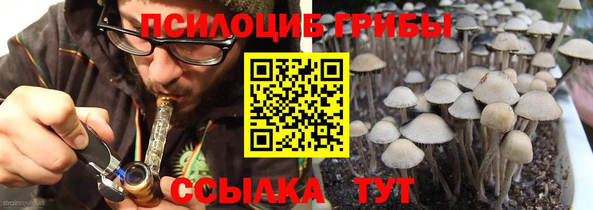 Псилоцибиновые грибы GOLDEN TEACHER Луховицы